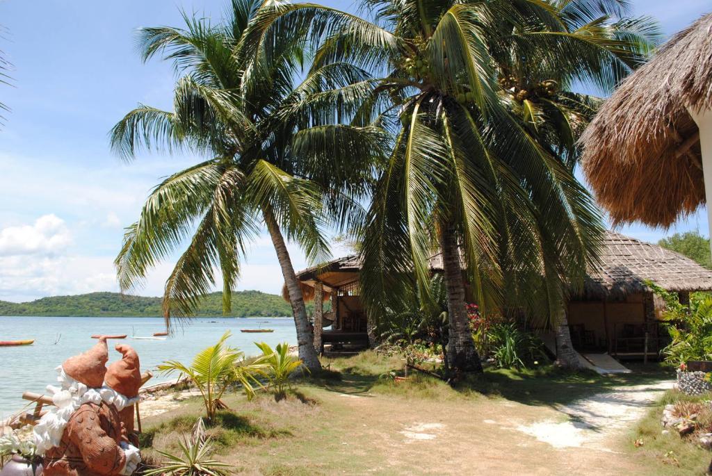 Coral Bay Beach And Dive Resort Бусуанга Номер фото