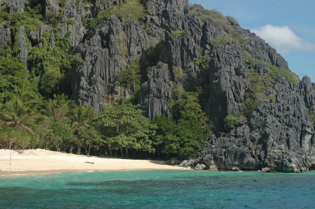 Coral Bay Beach And Dive Resort Бусуанга Экстерьер фото